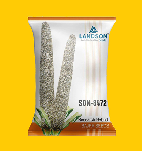 Hybrid Bajra Seeds
